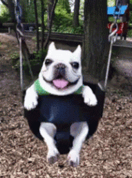 yuiTZYns_w191_h256_s542941.gif