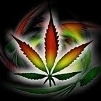 stayhigh
