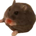 amyamomy