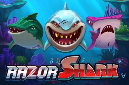razor-shark-slot-push-gaming.thumb.jpg.cc56002758b5763e4a7b107655e563cb.jpg