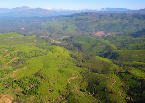 1313313-tea-plantations-in-munnar.jpg