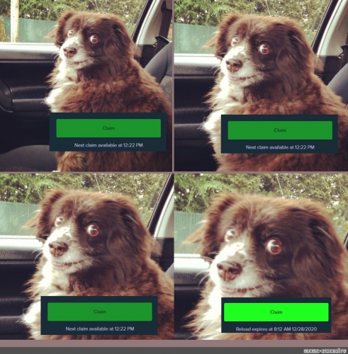 a478cb.thumb.jpg.6cf38aaa8f48277e2968d020b3a6fee4.jpg