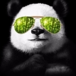 EpiKxPanda