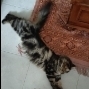 Mbah