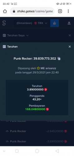 punk rocker.jpg