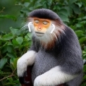 SidSteezy