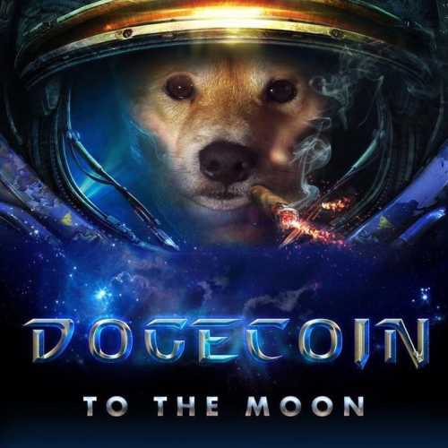 the doge.jpg