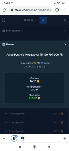 Screenshot_2021-05-24-16-03-46-405_com.android.chrome.jpg
