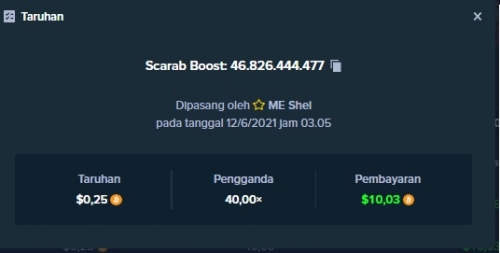 scarab boost.jpg
