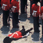RobiJisul