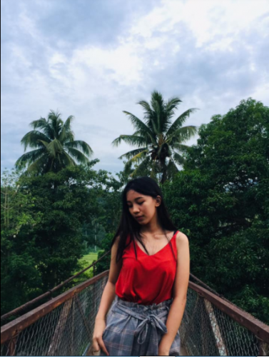 zamia.PNG