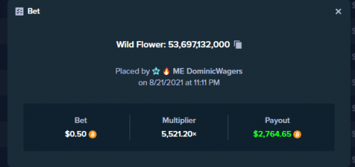 WILD FLOWER.PNG