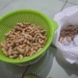 wenak1321