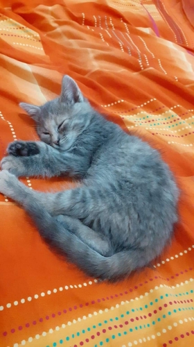 received_704774543552828.thumb.jpeg.19d056f1002d37356bd080d2d341c988.jpeg
