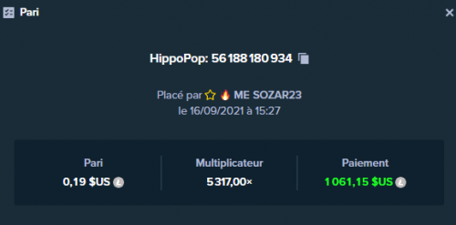 Hit hippo.png