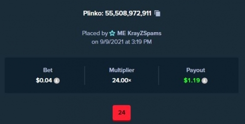 24X plinko.JPG