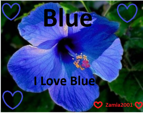 blue.PNG