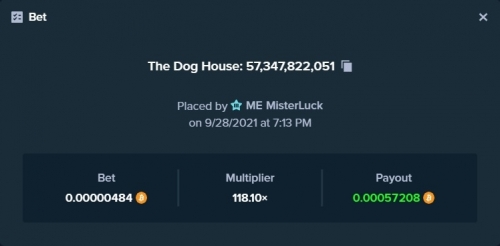 dog.jpg