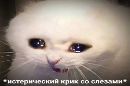 1614674256.jpg