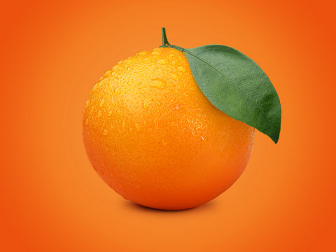 image.png.29832231869559bafa9bb67d0ae70b8e.png