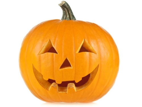 pumpkin.thumb.jpg.a4c2b5e7e474d364eccc26d7140edb96.jpg