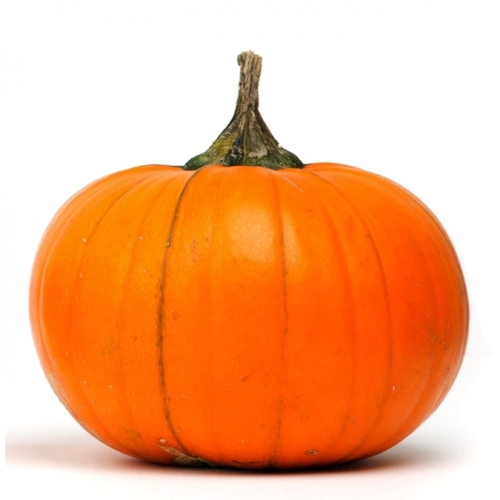 pumpkin.thumb.webp.1d2bfd5dae52e47df518affefdba4adc.webp