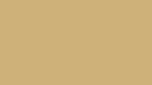 images (1).png
