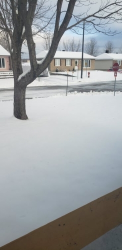 morning snow.jpg