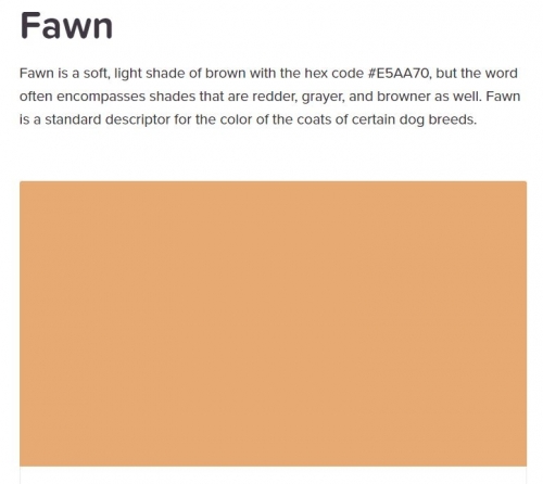 Fawn (Brown_Shade).JPG