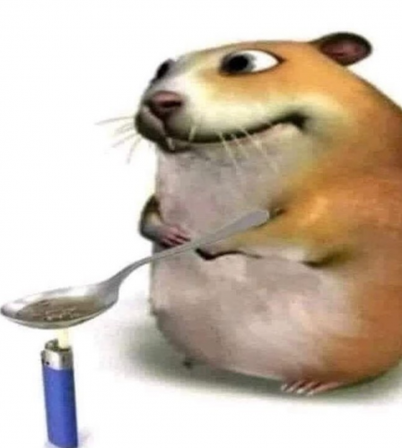 bosta.png