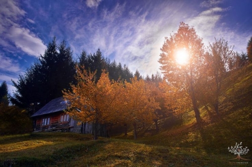 ce60632408a9baf38c87cd8eb148d757--carpathian-mountains-bored-panda.thumb.jpg.fc9f7d18349cc3146ca8d80e8cce21f7.jpg