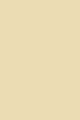 fawn.jpg.ef7b621f946ee7e3b7234add0f7a8172.jpg
