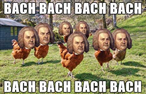 funniest-thanksgiving-memes.jpg.1a21f08211fbd5fc52481464becf2698.jpg