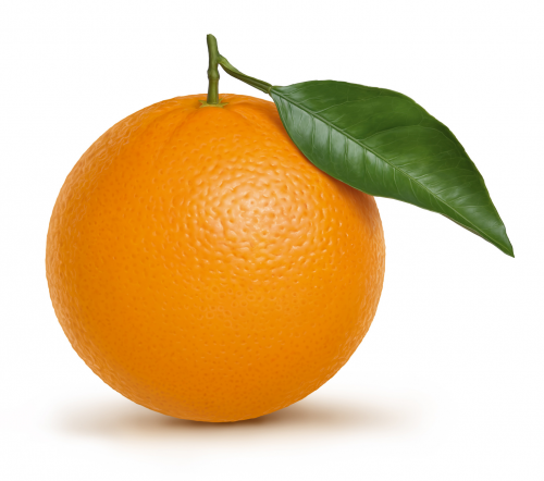 image.thumb.png.1e636c67d8cb1c67b21c43eb758e1c4d.png