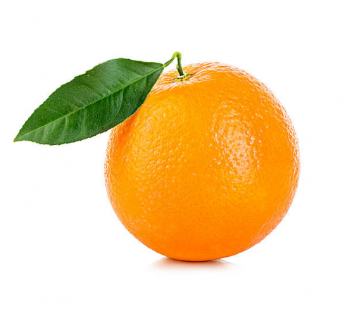 image.thumb.png.e6465952ed0f5b6fa074d63d534bb655.png