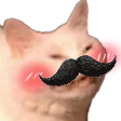 MyNameIsBruh