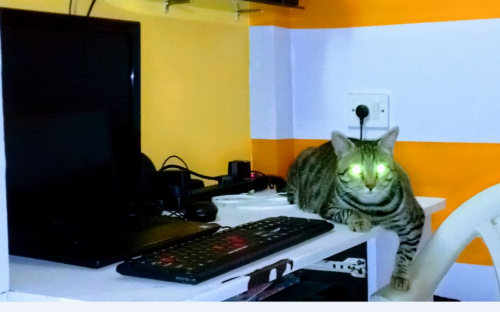 Capture.thumb.PNG.fd6c0880c2832a7ac9d375abe539ecbf.PNG