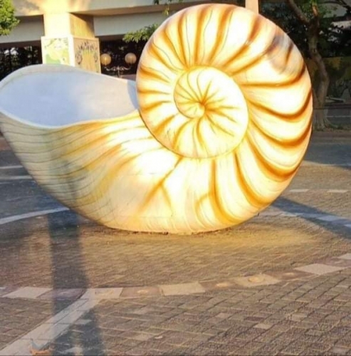 received_599499481155881.thumb.jpeg.25809f5029f6f84df0ace6c9c80b6f69.jpeg