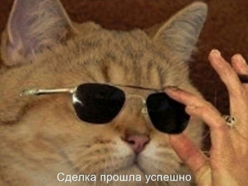 1642251453.jpg