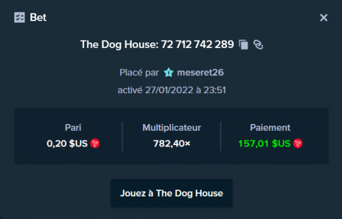 dog house 27 janvier.png