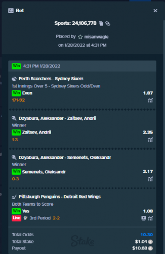 ice hockeyy.PNG