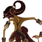 ninocellaluoke