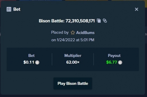 Bison2.jpg