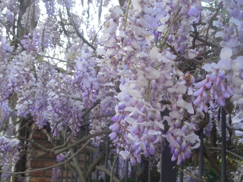 DSCN0024.JPG