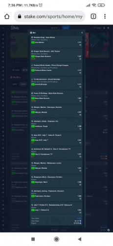 Screenshot_2022-01-29-19-36-37-041_com.android.chrome.jpg