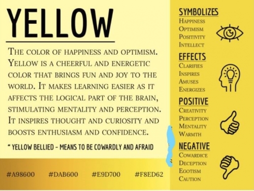 Yellow_Regular_LI2.JPG
