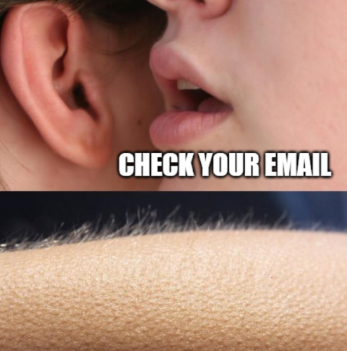 image.thumb.png.14760510dab04c219f2e26369f33113b.png