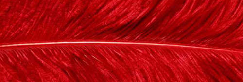 image.thumb.png.829209a21d85501bbf1f7bc1f8003b44.png