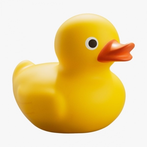 yellow.thumb.jpg.d566b8d301f879b76b8c5e33c0536015.jpg