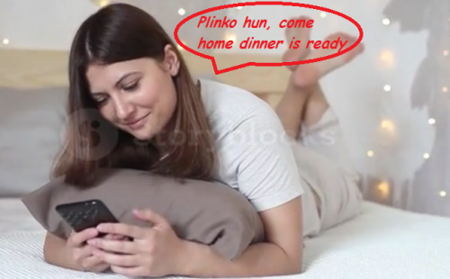 plinka and plinka.PNG